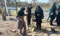 کاشت بیش از 1.4 میلیون اصله نهال در استان تهران/ 398 هزار اصله نهال تا پایان اسفند توزیع می شود